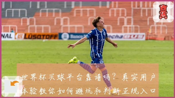 世界杯买球平台靠谱吗？真实用户体验教你如何避坑和判断正规入口